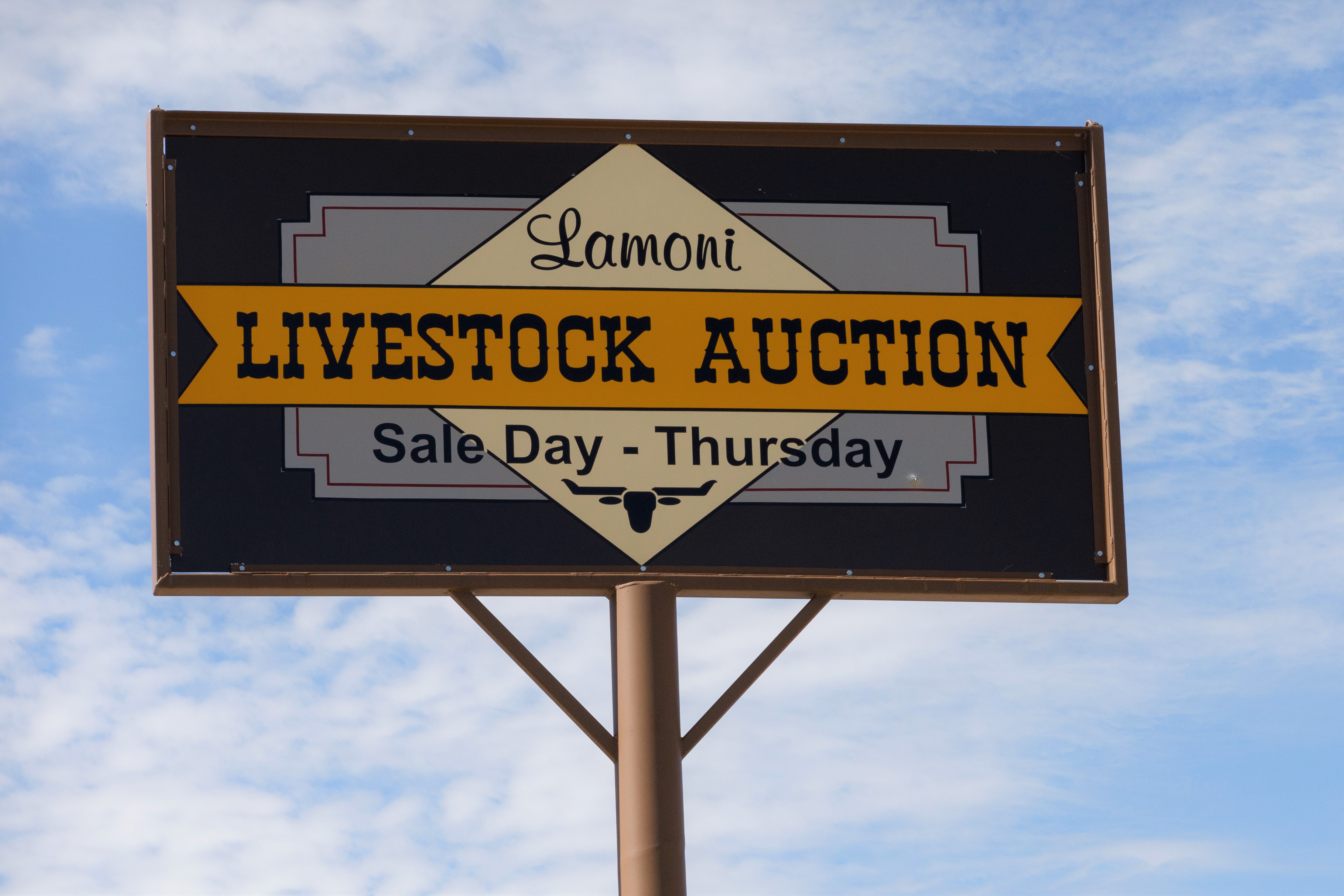 The Beef Industry Behind the Auction Block