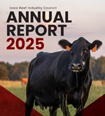 annualreport2025