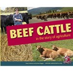 beef cattle story of ag