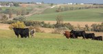 Checkoff-News-Header