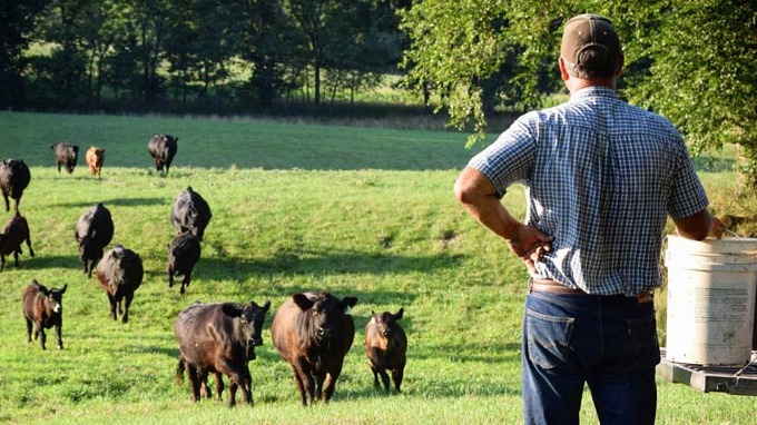 Checkoff Dollars at Work: Research That Delivers Results