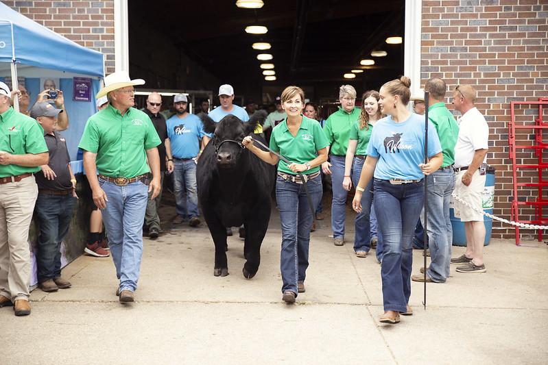 2020 Governor’s Charity Steer Show Comes to Iowa State University