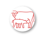 iabeef042-research-icons-cow-calf.png