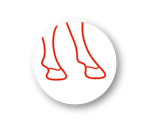 iabeef042-research-icons-hairy-heel-wart.png