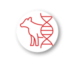 iabeef042-research-icons-reproduction-genetics.png