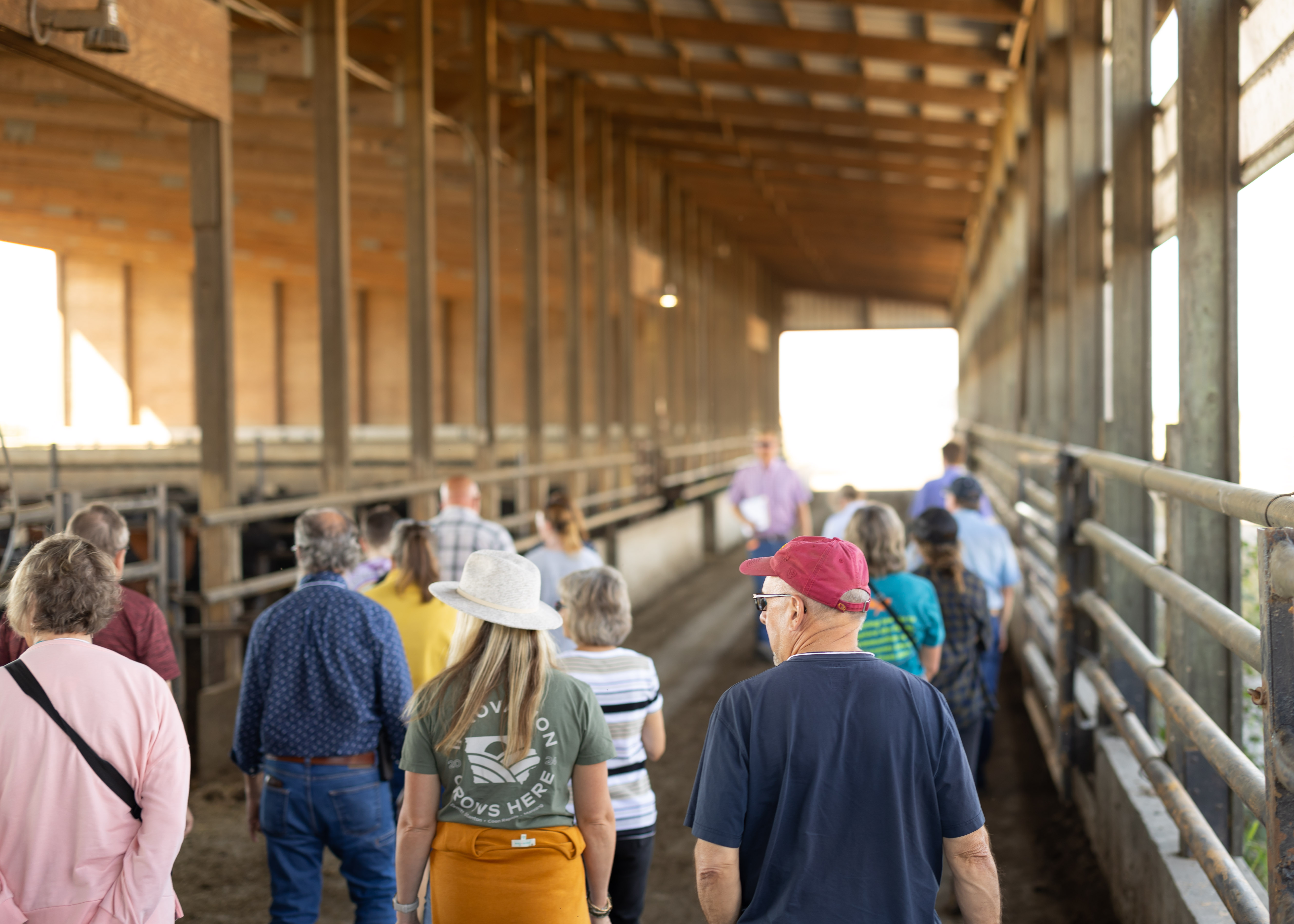 Henderson Cattle Inc.