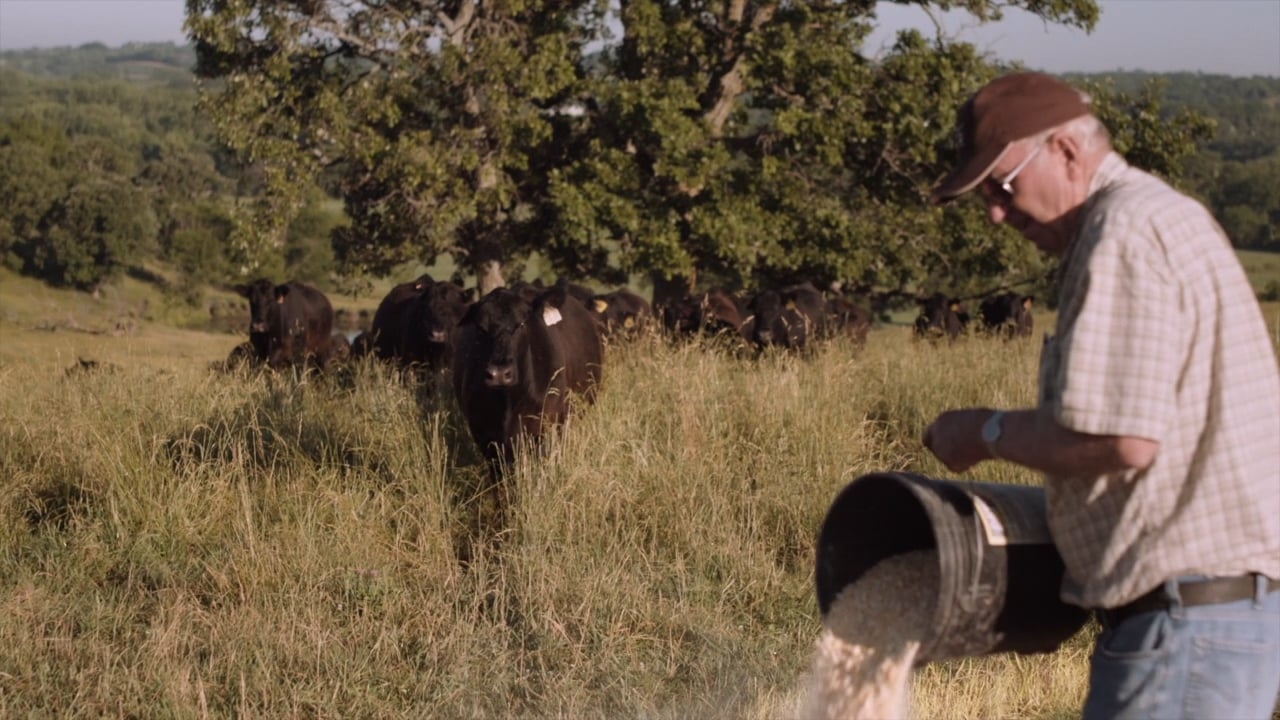 Hanrahan Ranch
